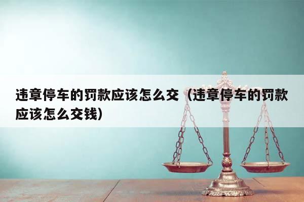 违章停车的罚款应该怎么交（违章停车的罚款应该怎么交钱）