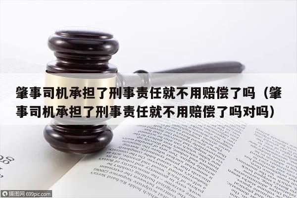 肇事司机承担了刑事责任就不用赔偿了吗（肇事司机承担了刑事责任就不用赔偿了吗对吗）