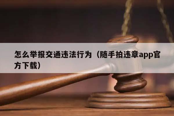 怎么举报交通违法行为（随手拍违章app官方下载）