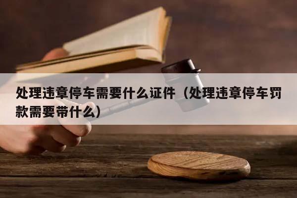 处理违章停车需要什么证件（处理违章停车罚款需要带什么）