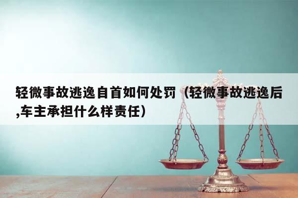 轻微事故逃逸自首如何处罚（轻微事故逃逸后,车主承担什么样责任）