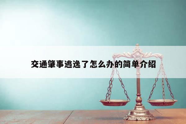 交通肇事逃逸了怎么办的简单介绍