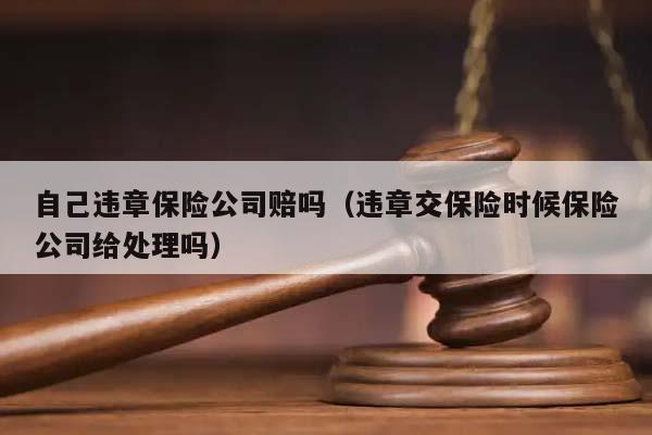 自己违章保险公司赔吗（违章交保险时候保险公司给处理吗）