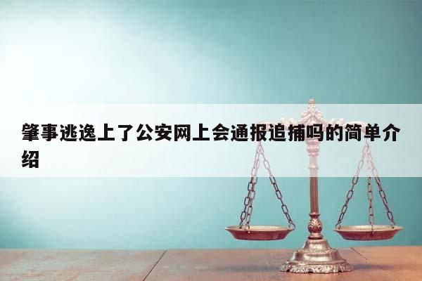 肇事逃逸上了公安网上会通报追捕吗的简单介绍