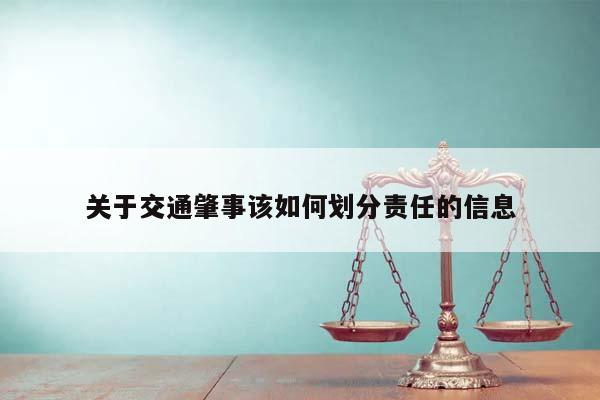 关于交通肇事该如何划分责任的信息