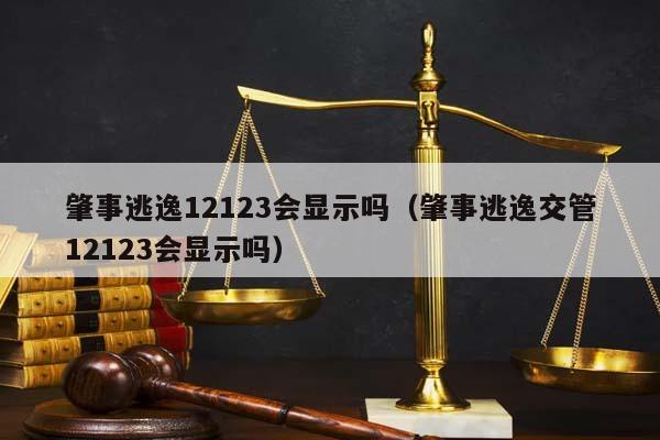 肇事逃逸12123会显示吗（肇事逃逸交管12123会显示吗）