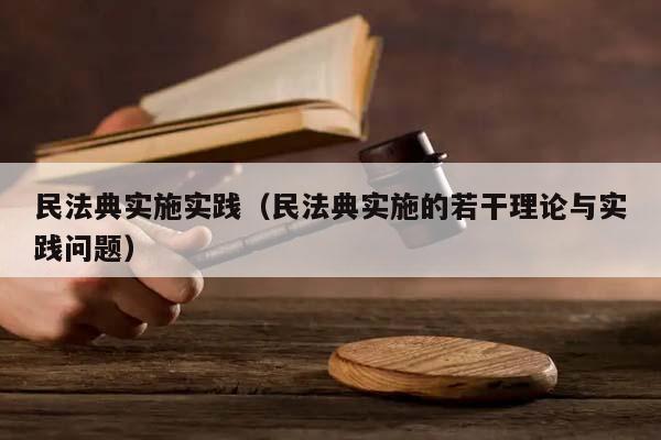 民法典实施实践（民法典实施的若干理论与实践问题）