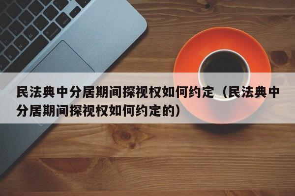 民法典中分居期间探视权如何约定（民法典中分居期间探视权如何约定的）