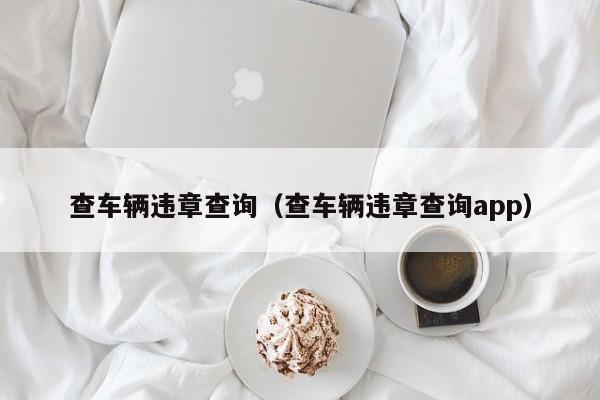 查车辆违章查询（查车辆违章查询app）