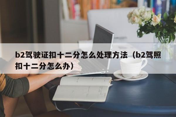 b2驾驶证扣十二分怎么处理方法（b2驾照扣十二分怎么办）