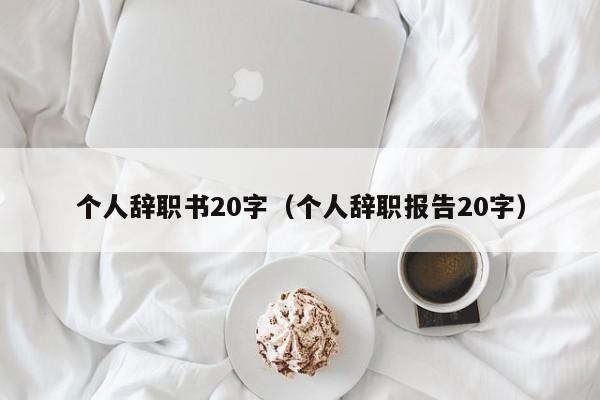 个人辞职书20字（个人辞职报告20字）