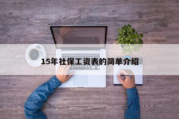 15年社保工资表的简单介绍