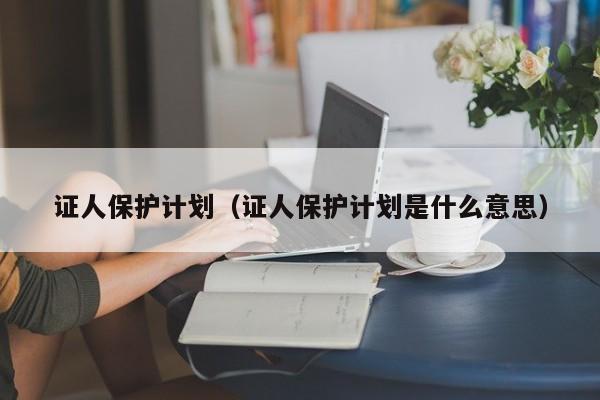 证人保护计划（证人保护计划是什么意思）