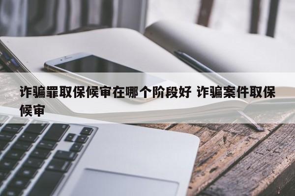 诈骗罪取保候审在哪个阶段好 诈骗案件取保候审