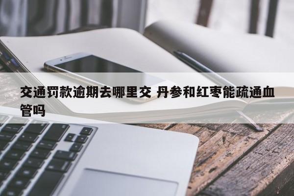 交通罚款逾期去哪里交 丹参和红枣能疏通血管吗