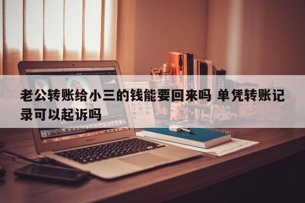 老公转账给小三的钱能要回来吗 单凭转账记录可以起诉吗