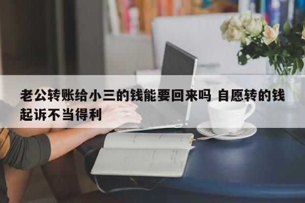 老公转账给小三的钱能要回来吗 自愿转的钱起诉不当得利