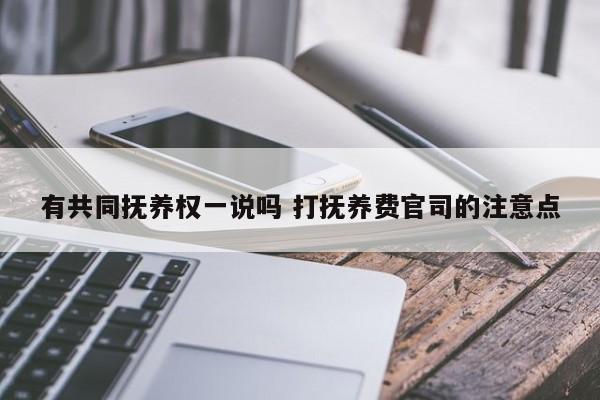 有共同抚养权一说吗 打抚养费官司的注意点