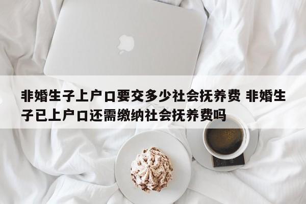 非婚生子上户口要交多少社会抚养费 非婚生子已上户口还需缴纳社会抚养费吗