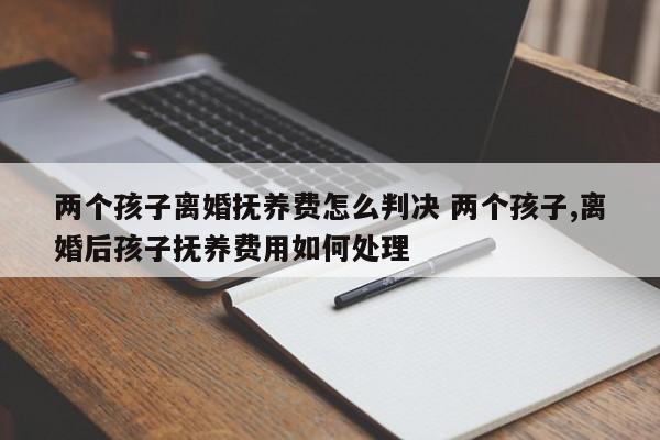 两个孩子离婚抚养费怎么判决 两个孩子,离婚后孩子抚养费用如何处理