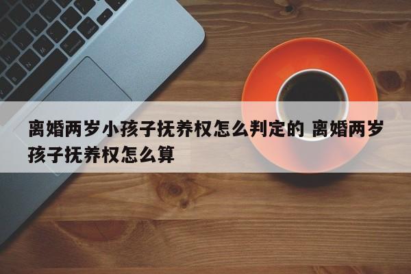 离婚两岁小孩子抚养权怎么判定的 离婚两岁孩子抚养权怎么算