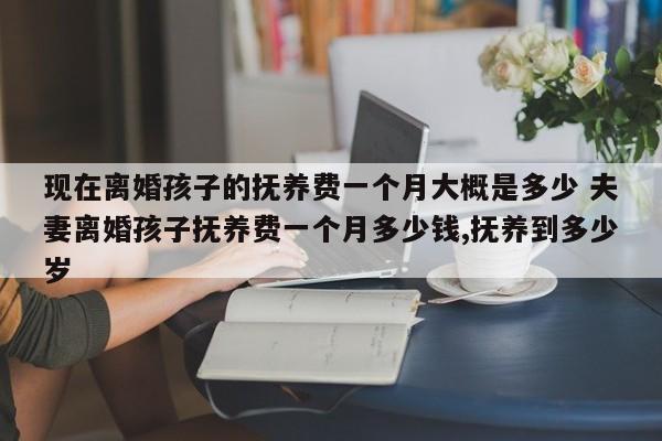 现在离婚孩子的抚养费一个月大概是多少 夫妻离婚孩子抚养费一个月多少钱,抚养到多少岁