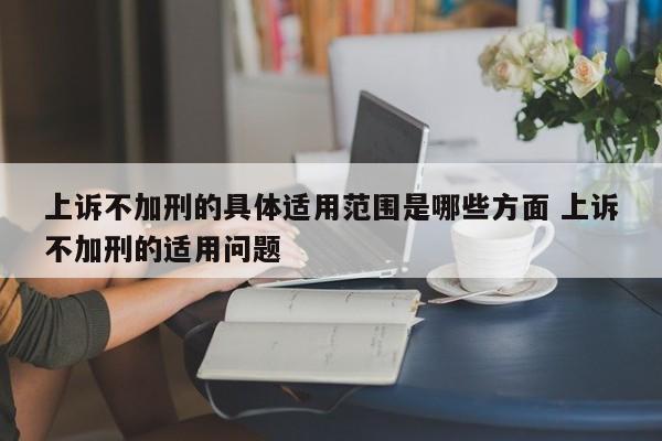 上诉不加刑的具体适用范围是哪些方面 上诉不加刑的适用问题